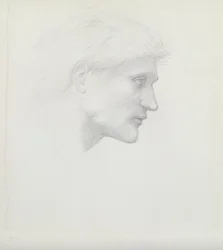 Alessandro di Marco - estudio de cabeza